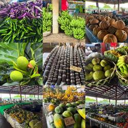 MARKETPLACE