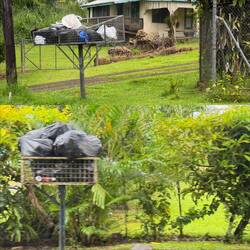 Putting out your garbage (away from animals)