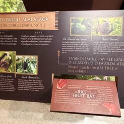 Preserve the Fruit Bats---one of their missions