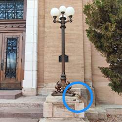 Habt ihr den kleinen 🐿️Racker entdeckt?😌