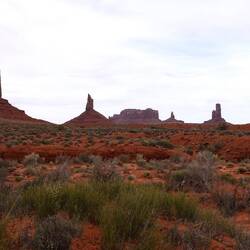 Wildcat Trail