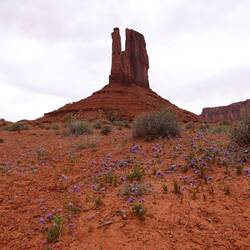 Wildcat Trail