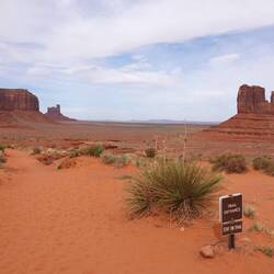 Wildcat Trail, super ausgeschildert