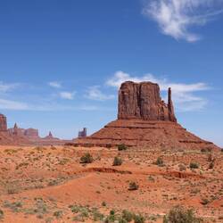 West Mitten