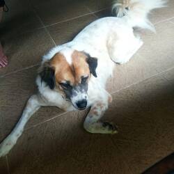 Wie er heißt, habe ich mir leider nicht gemerkt