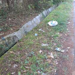 Der Müll ist allgegenwärtig