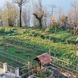 View of some of the farm area from our room