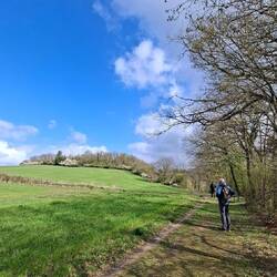 Wiedermal tolle Pfade.