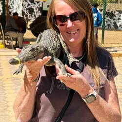 Nile crocodile cuddles.