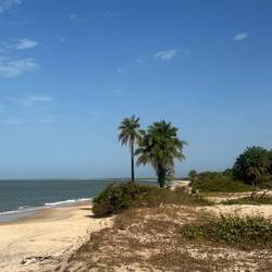 Bilderbuchstrand 🌴