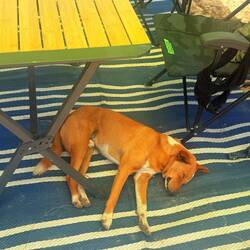 Da stimmt doch irgendwas nicht 😬😬