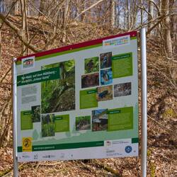 Aufstieg zum Mühlberg