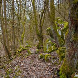 Gutes Schuhwerk ist wichtig