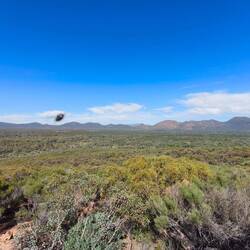 Blick vom Wangarra Lookout auf die gut 80km2 grosse Wilpena Pound - Ebene...