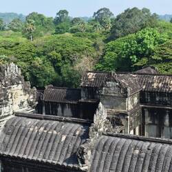 The jungle comes right up to meet the temple