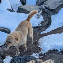 Doggy ist wieder bei uns