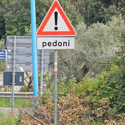 Pedoni/pedestrians