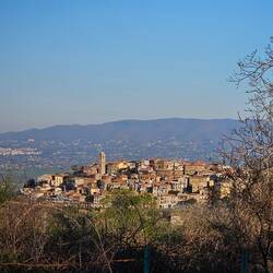 Cori from a distance