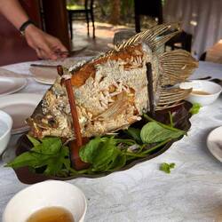 Elefanten-Ohren-Fisch - deep fried