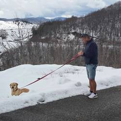 Sindy hat ihre Freude am Schnee .... endlich Abkühlung 😆😉