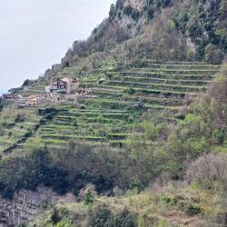 View across Pino Gorge