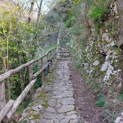 Typical path on the walk