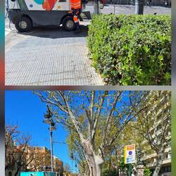 In der Straßenreinigung sind sehr viele Frauen tätig 👍