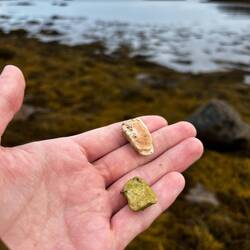 En haut Pegmatite, en bas Serpentinite