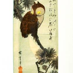 Owl on a pine branch and rising moon (U. Hiroshige; c. 1830, Edo Period) — Graphic Japan Exhibition.