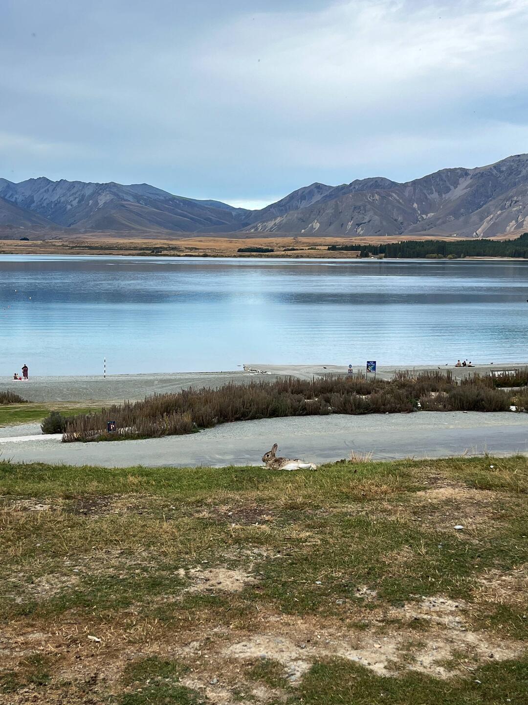 Frohe Ostern am Lake Tekapo