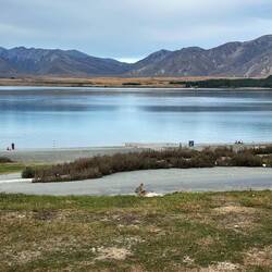 Frohe Ostern am Lake Tekapo