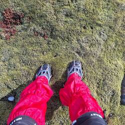 Moquette épaisseur xxl pour marcher 😂