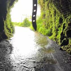 VIDEO- Is this a one-way tunnel?