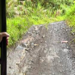 VIDEO- LESS OF A ROAD