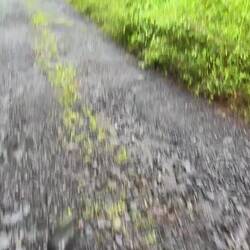 VIDEO- STARTING TO GET WET