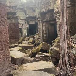 Trying to give some sense of how all encompassing these temples are