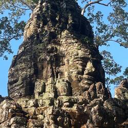 More smiling faces on the gate