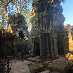Ta Prohm in the late afternoon glow. Like a labyrinth