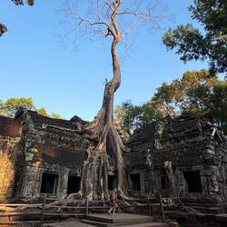 Gives some perspective