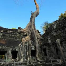 Looks like a giant squashed the wall