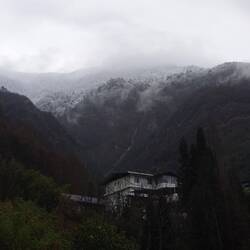 Snow capped tree line of the reserve