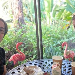 Petit dej dans le jardin de l hotel
