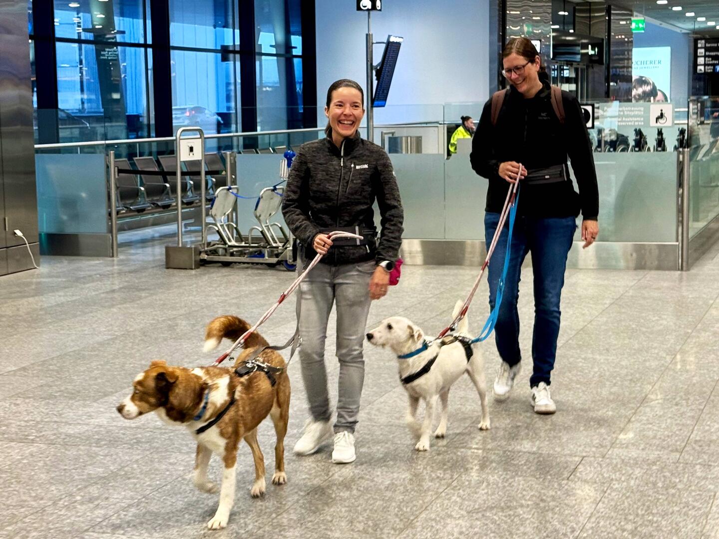 Am Flughafen warteten tatsächlich Steffi, Tanja, Hailey & Piri auf mich! 😍
