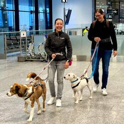 Am Flughafen warteten tatsächlich Steffi, Tanja, Hailey & Piri auf mich! 😍