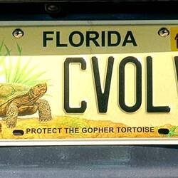 Schönes Licence Plate