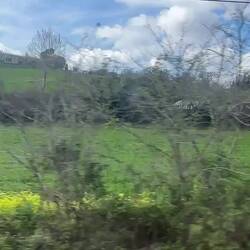 Scenes from the train en route to Pescara.