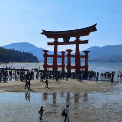 Das Tor zum Itsukushima Schrein und viele Menschen.