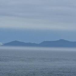 Stewart island