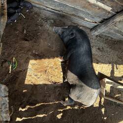 We took a stroll through town and found these angels 🥹