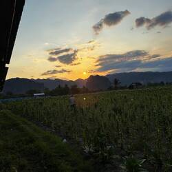 Sunsets were epic here